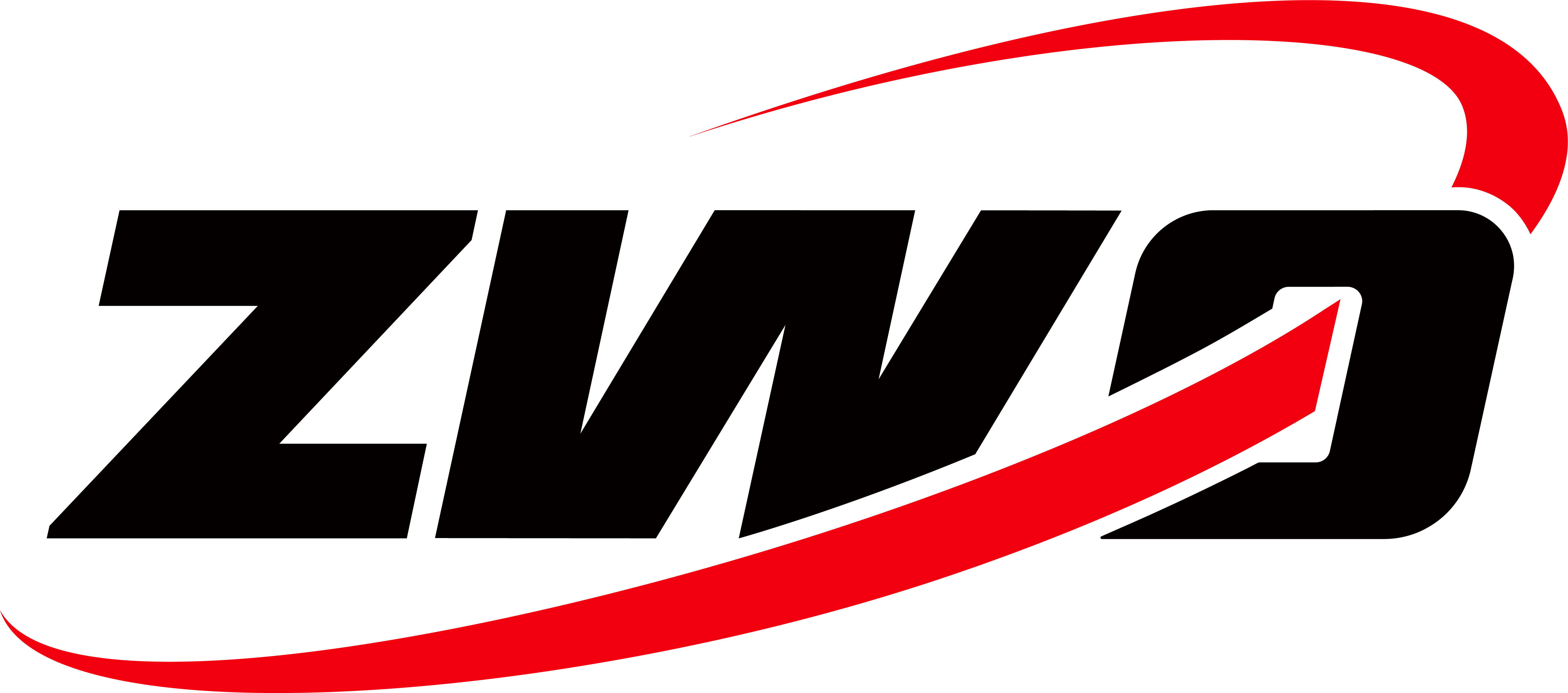 ZWO — partner Astronomskog kampa Pod Zvezdama 2026